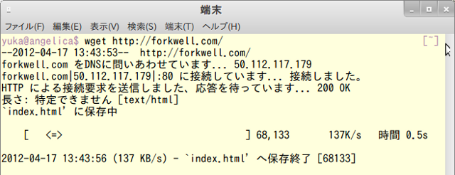 wget実行画面