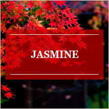 Jasmine タイポグラフィ適用画像