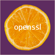 OpenSSL タイポグラフィ適用画像