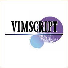 vimscript タイポグラフィ適用画像